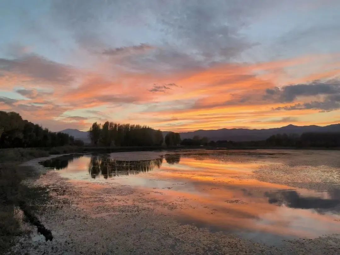 大理剑川 剑湖湿地 自驾、徒步、摄影的绝佳去处_高照