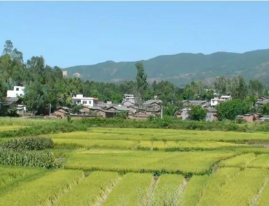 姚安县重点打造三条精品文化旅游线路