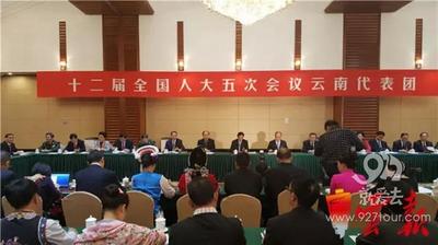 代表委员热议云南旅游：在痛中谋变 让旅游越来越好