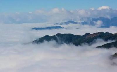 津滇艺术家挥毫泼墨轿子山
