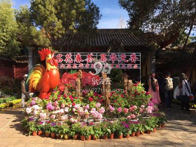 今起到昙华寺公园看花潮会 8000余牡丹等你观赏