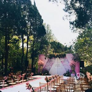味彩森系婚礼 圆小公主童话梦
