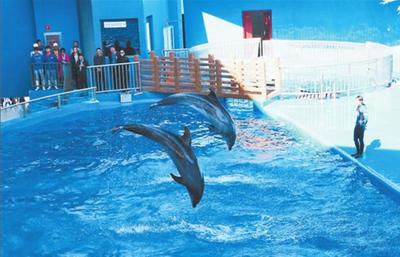 石林冰雪海洋世界受追捧，开园半年接待游客52万人次