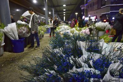 总理走访的斗南花市 夜间竟是这般热闹【组图】