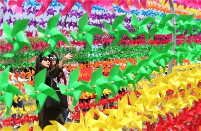 【组图】昆明首届艺术风车旅游节举行 3万只五彩风车绚丽迎春