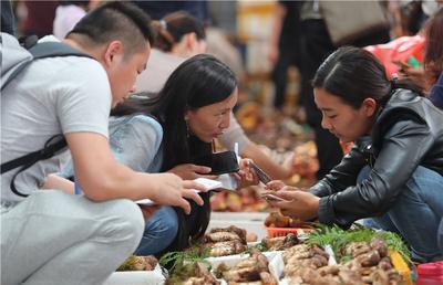吃菌何须跑远？家门口就有！最实用昆明菌子市场地图收好~（附参考价）