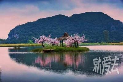 普者黑景区出台办法规范交通秩序 自驾车仍可通行