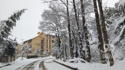 【美图】一下雪 昭通大山包就美成了水墨画