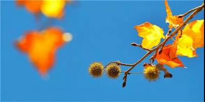 白塔山下蜻蛉河畔有个好地方