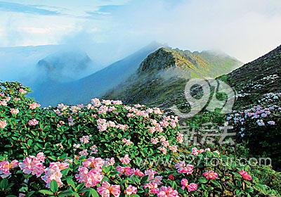 向云端进发， 在苍山乘风而行