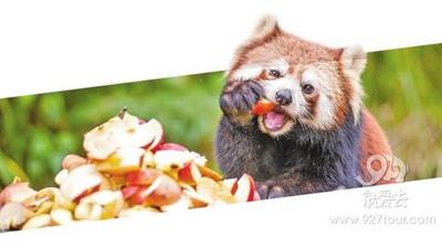 普洱太阳河国家森林公园 云南旅游文化新亮点！