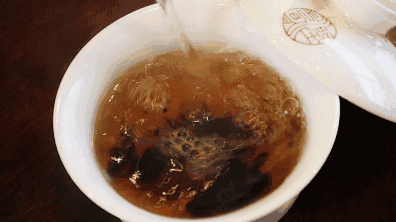 双江冰岛古茶园