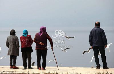 时光栈道促抚仙湖旅游与环保【组图】