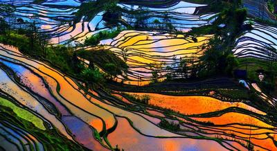云山梯田  梦想红河