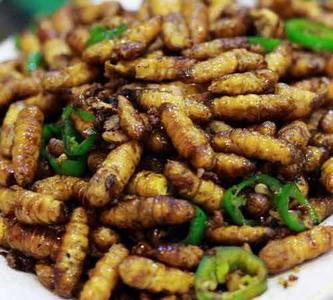 油炸蜂蛹