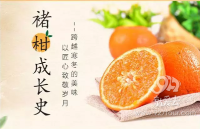 来自北纬23.5°的味觉奇迹 褚柑甜蜜登场 