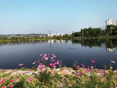 云南省公布第三批省级重要湿地名录 共16处