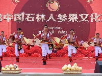 石林彝族大三弦