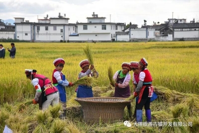 第二届稻米文化艺术节发来邀请，邀你到喜洲稻田感受纯真快乐