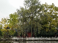 昆明翠湖公园