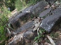 茶马古道