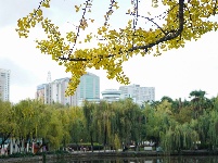 昆明翠湖公园