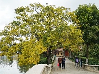 昆明翠湖公园