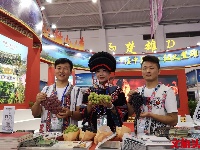 直击现场！2019商洽会在昆明开幕