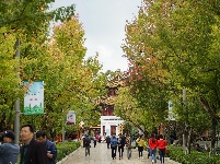 昆明翠湖公园
