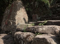 茶马古道