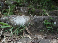 茶马古道