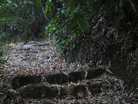 茶马古道