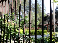 翠湖南路65号宅院