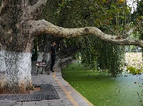 昆明翠湖公园