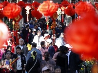 金殿庙会祈福赏花
