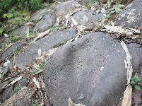 茶马古道