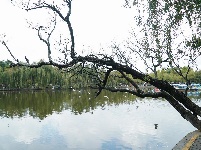 昆明翠湖公园