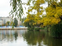 昆明翠湖公园