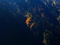 高黎贡山