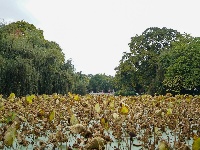 昆明翠湖公园