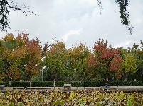 昆明翠湖公园