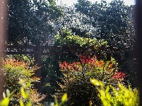 翠湖南路65号宅院
