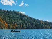 普达措国家公园-碧塔海