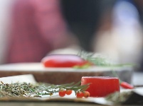 红豆杉