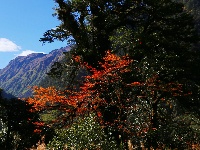 高黎贡山