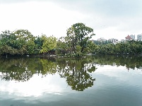 昆明翠湖公园