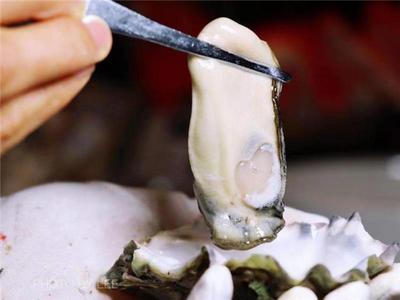 昆明洲际酒店“蚝门盛宴”等你来尝“鲜”