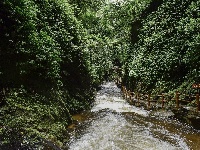 新平石门峡