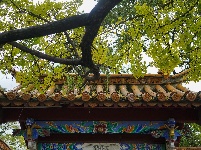昆明翠湖公园
