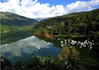 通天木鼓震云霄，佤山非遗进成都